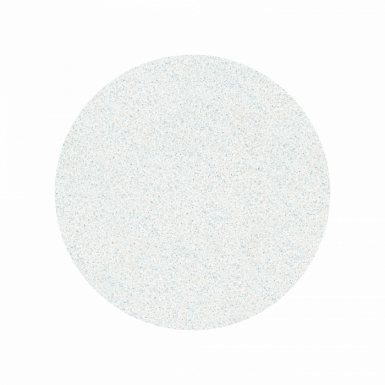 STALEKS PRO - PODODISC ZAMJENJIVI ULOŠCI PRO L 240grit 