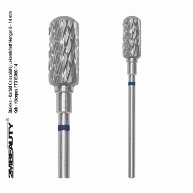 STALEKS PRO - KARBIDNI NASTAVAK CILINDAR PLAVI FT31B060/14